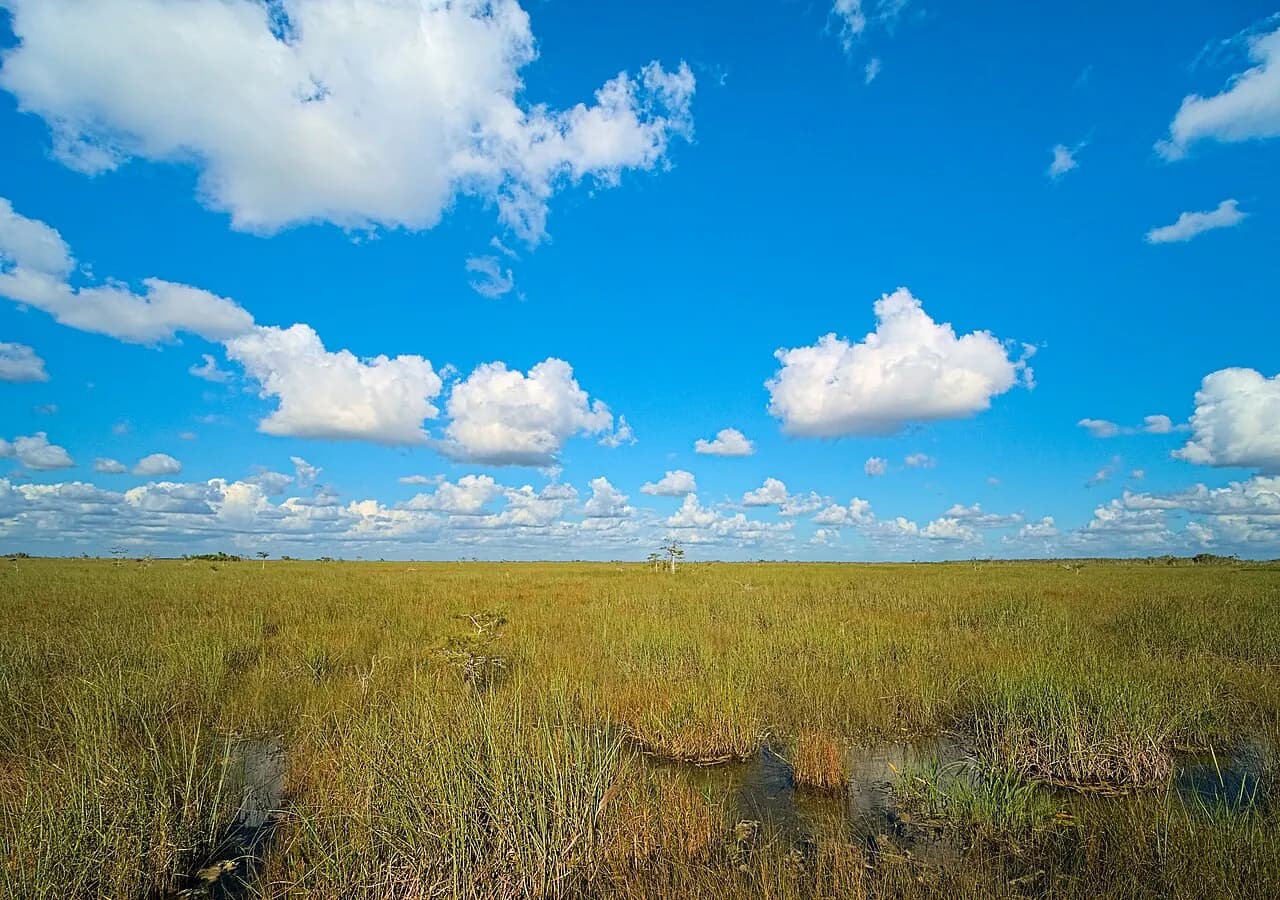 En del af Everglades National Park i Florida, set fra Pa-Hay-Oke-trailen.