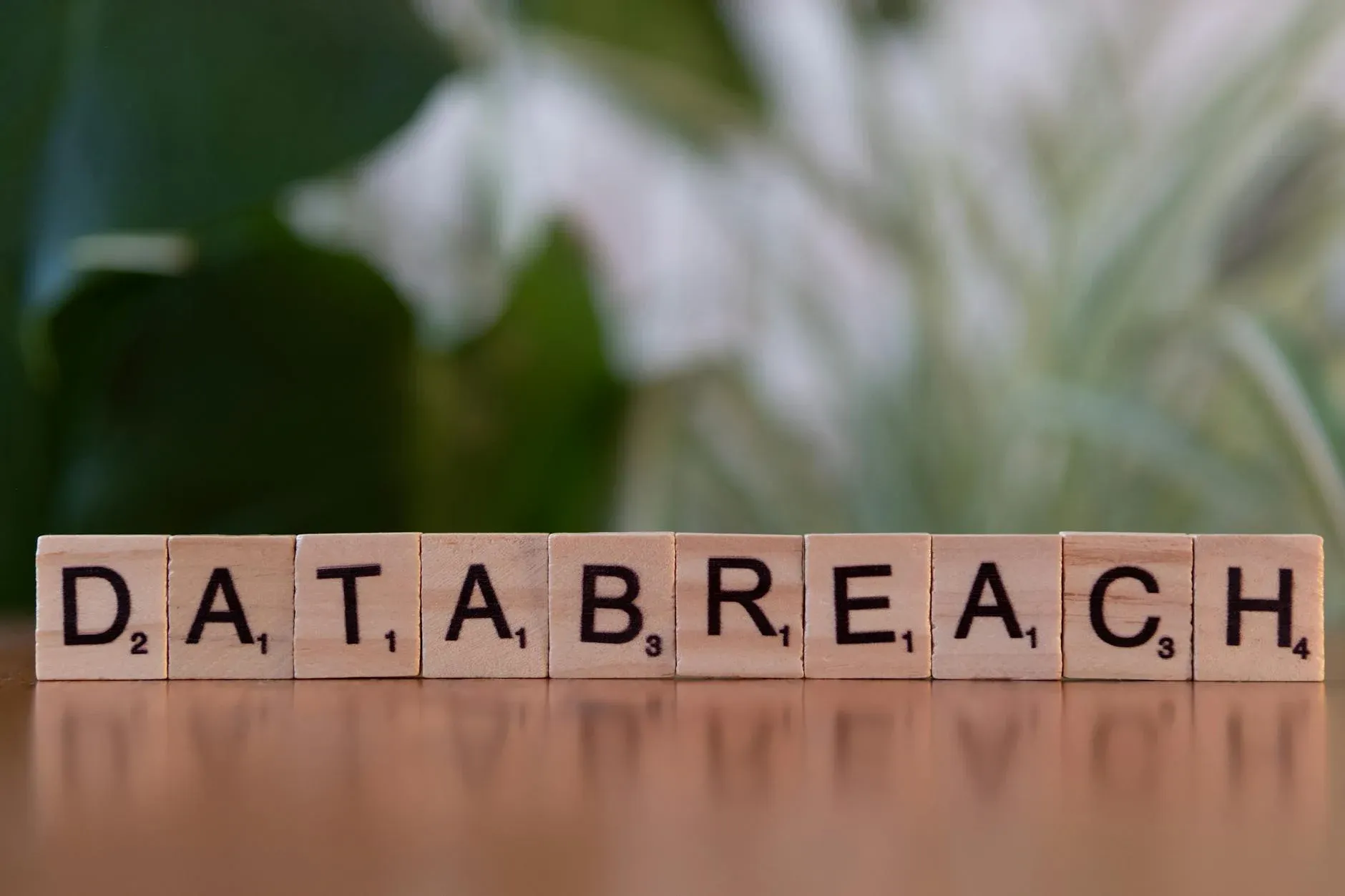Et close-up af scrabblebrikker, der danner teksten “data breach”, på en sløret baggrund. Motivet illustrerer emnet om databrud og informationssikkerhed.