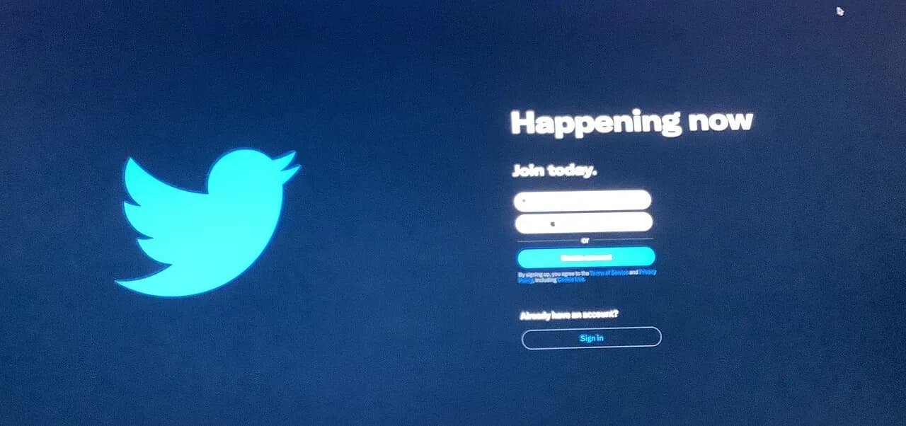 Skærmbillede af Twitter-hjemmesiden i marts 2024 med freebird installeret. Billedet viser brugerfladen og layoutet på det tidspunkt.