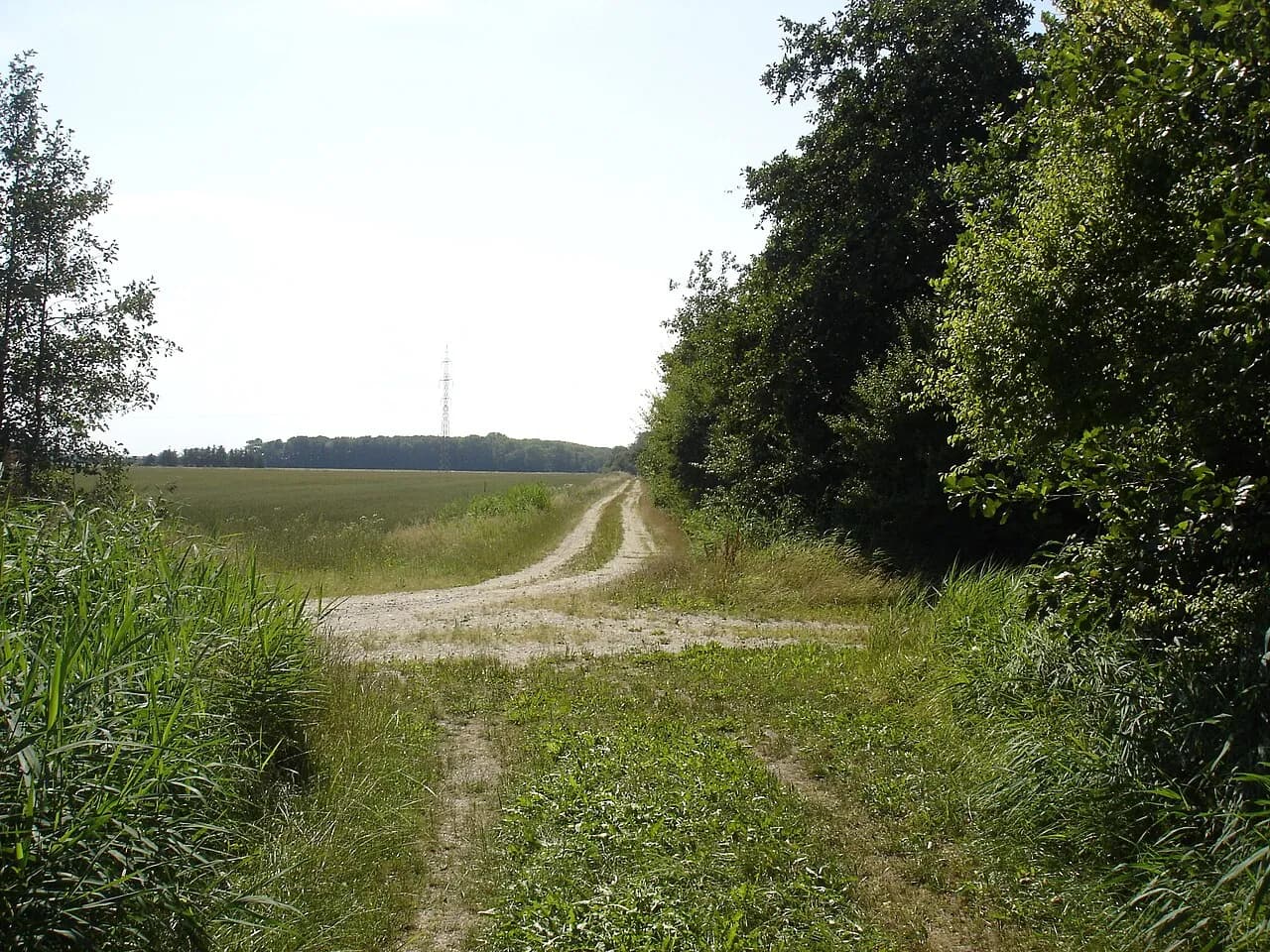 Nørresundby–Fjerritslev-banens tracé passerer en betonfabrik ved Thisted Landevej mellem Birkelse og Ulveskov. Billedet viser industrilandskab og infrastruktur i samme ramme.