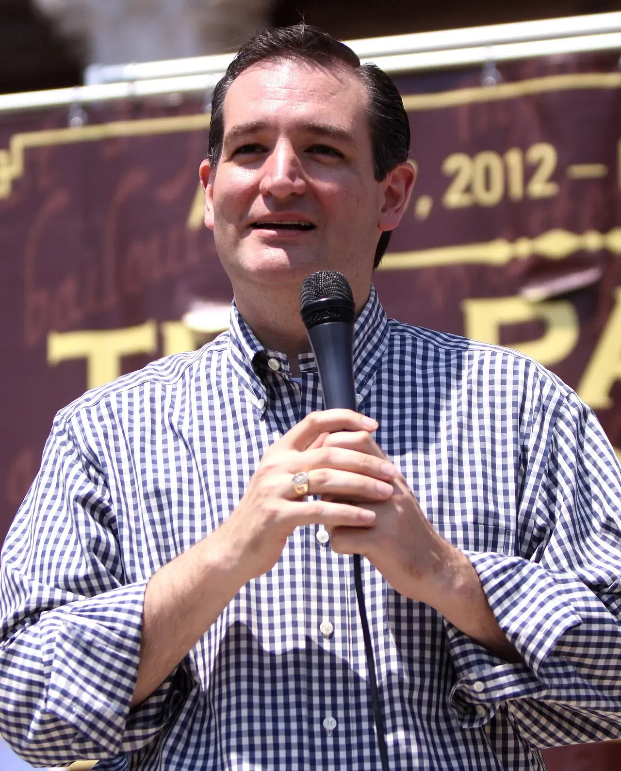 Ted Cruz taler ved et Tea Party Express-rally i Austin, Texas. Billedet fanger ham i en aktiv talerstund.