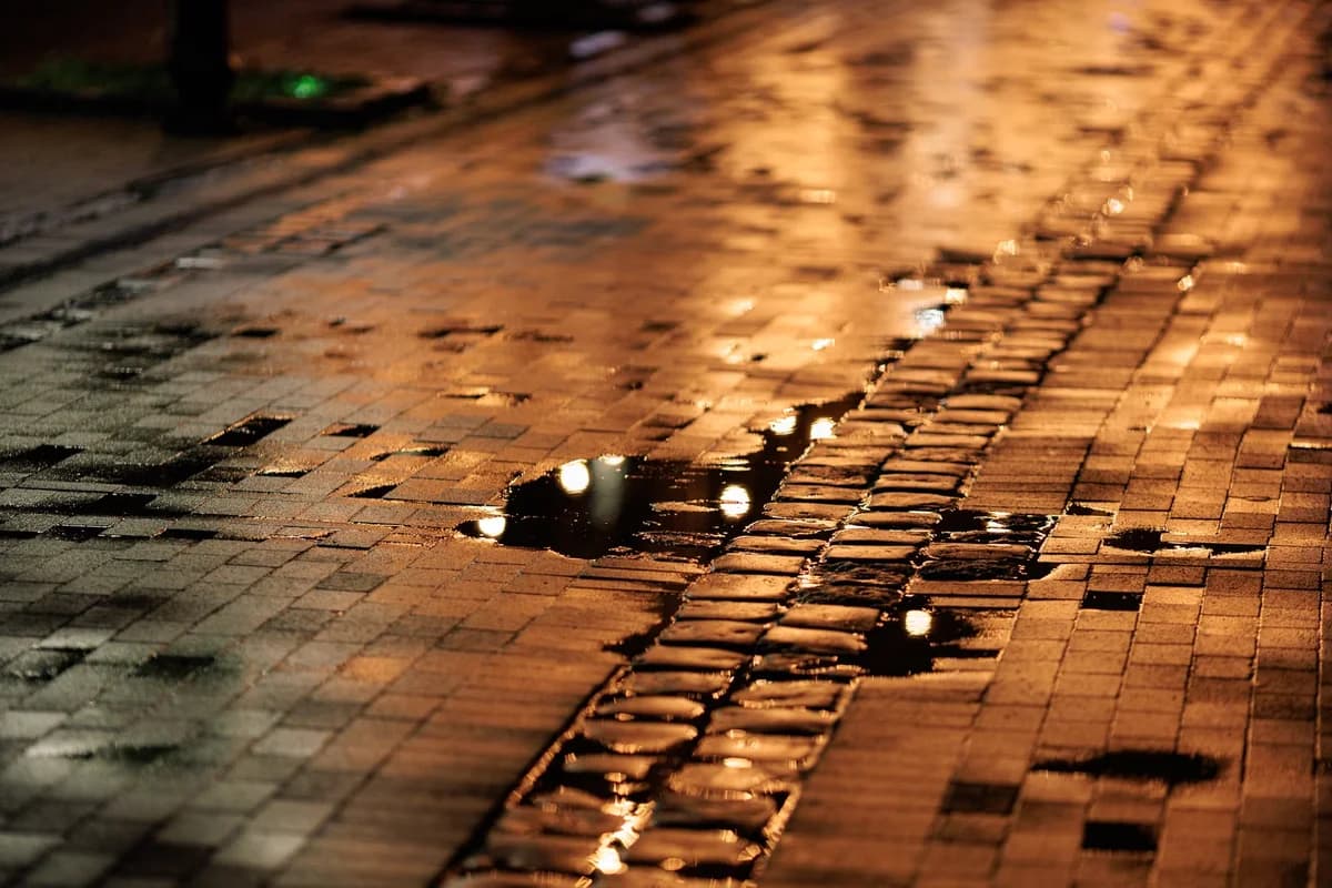 Wet cobblestone pavement reflecting streetlights at night.