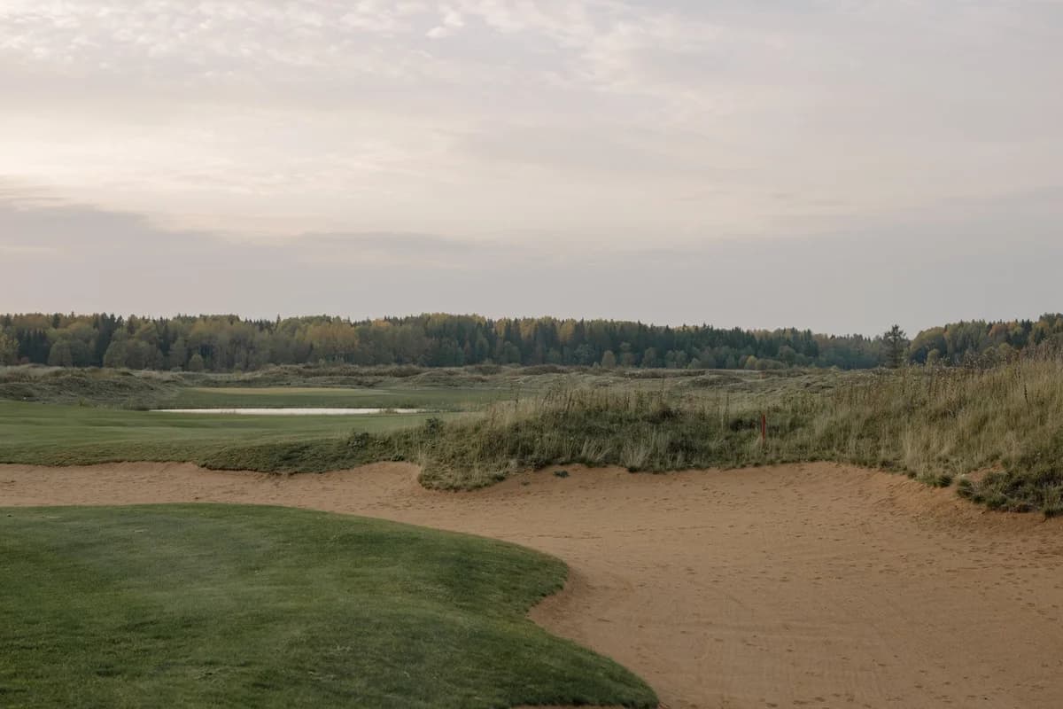 Golf course with a sand trap and forest at dawn
