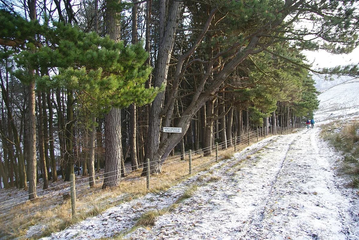 A snowy path beside a fenced forest with a private land warning sign.