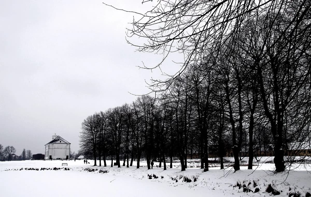 Snowy park landscape with bare trees and a white building in the distance.