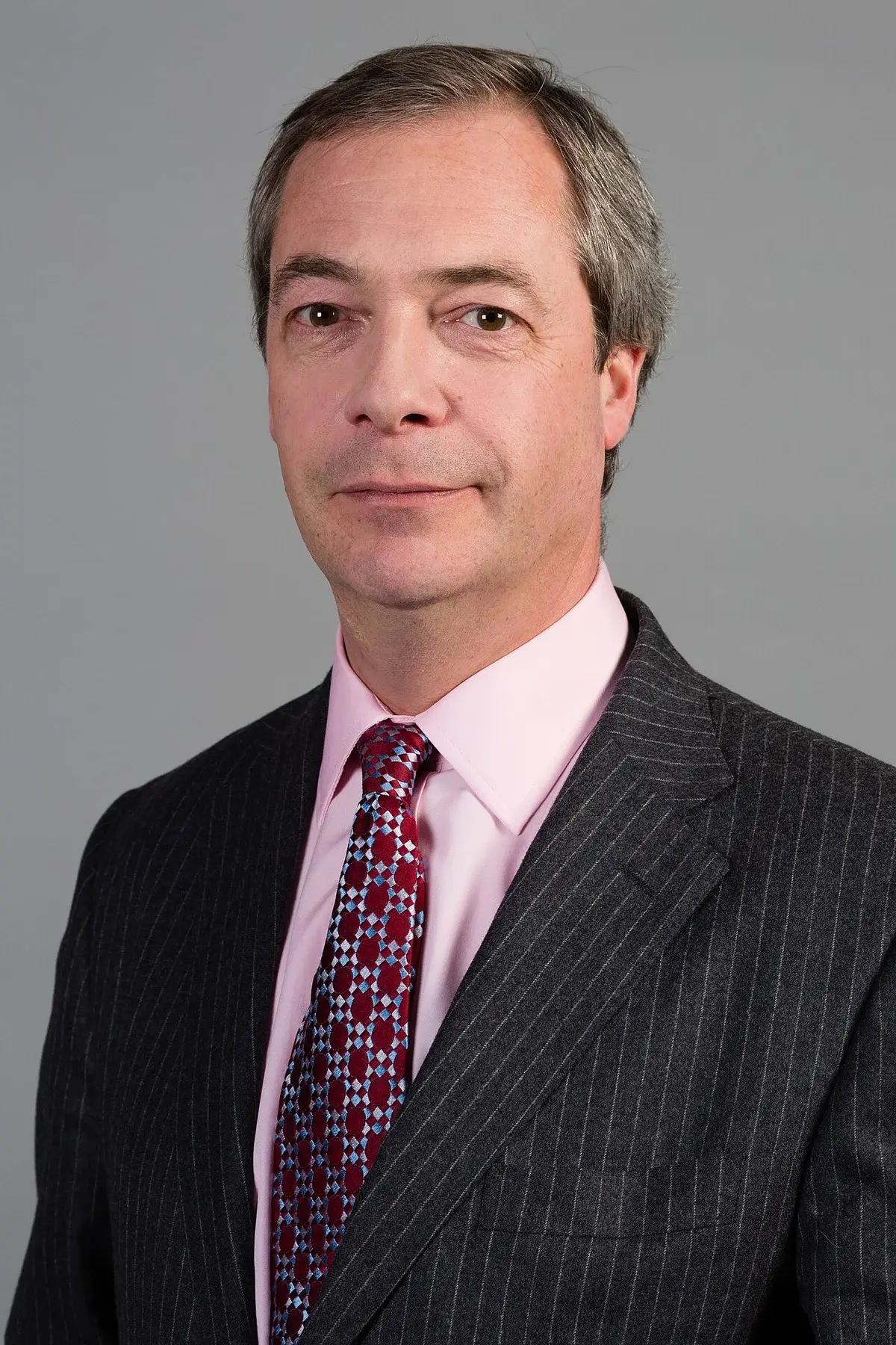 Portrait of Nigel Farage in a suit and tie.
