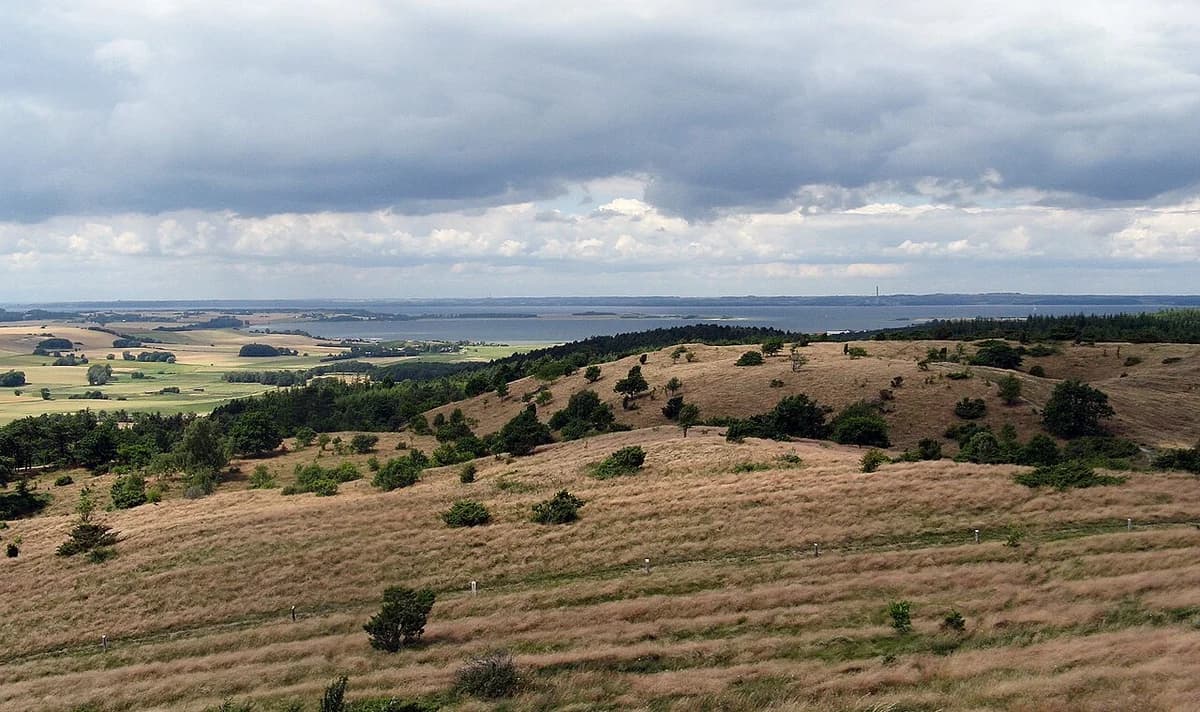 Panoramic view of grassy hills and Kalø Vig under cloudy skies.