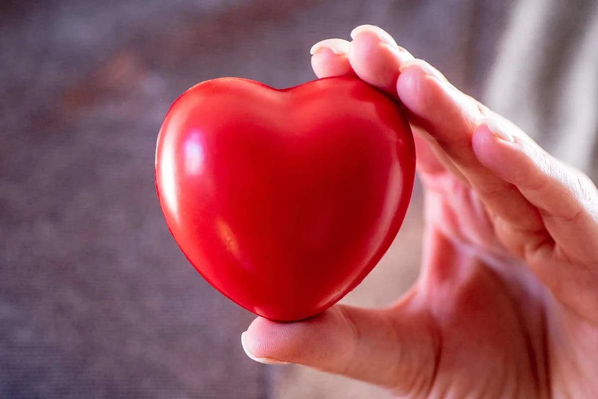 A hand holding a red heart-shaped object.