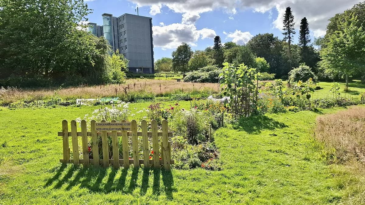 Community garden with flowers and trees beside an apartment building.