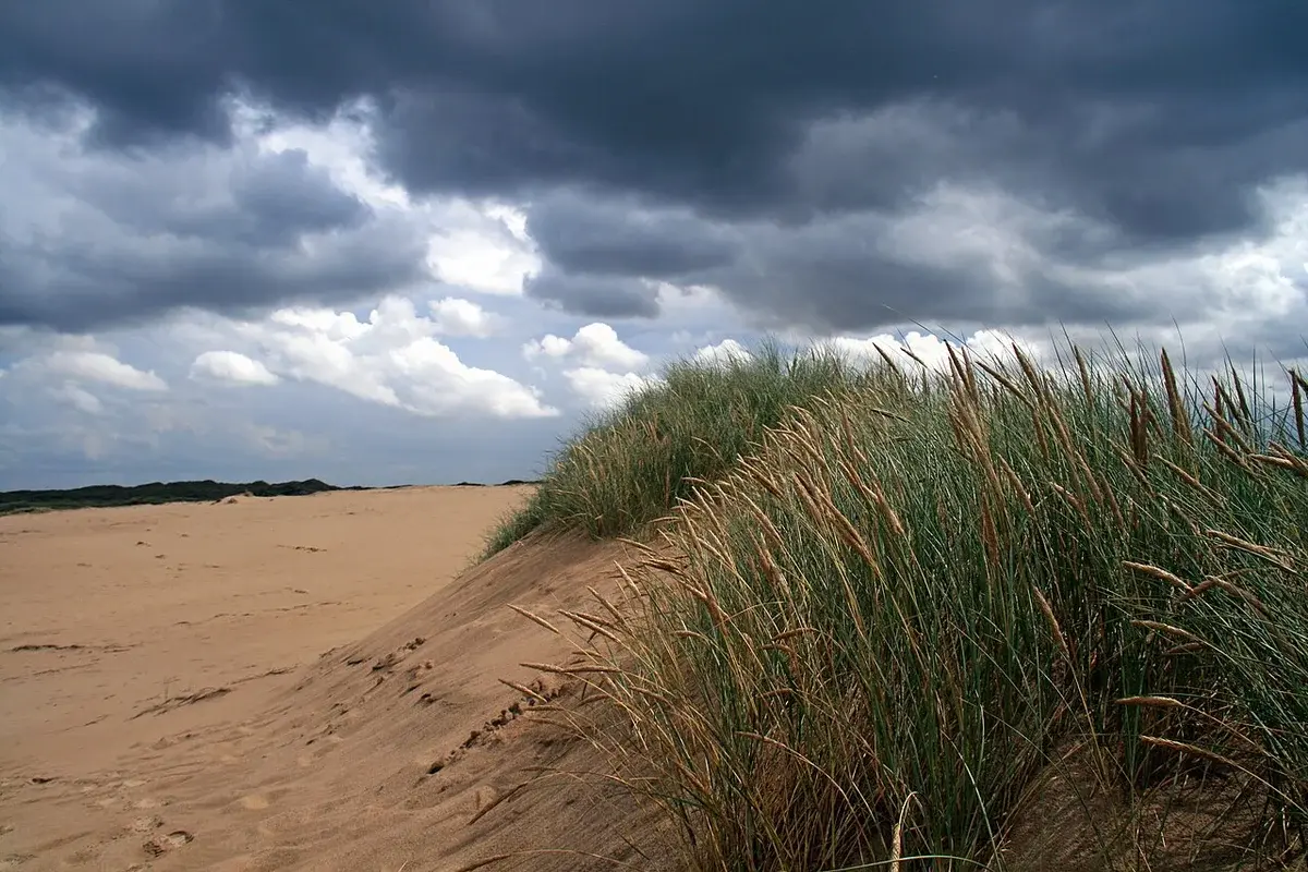 Sandy beach dunes with tall grass under dark storm clouds.