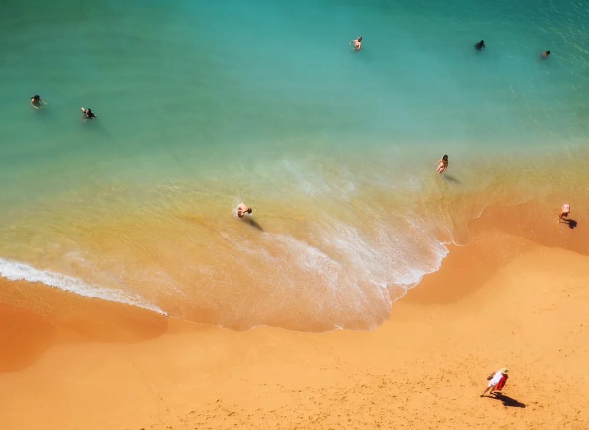 aerial view of people swimming and walking on a sunny beach
