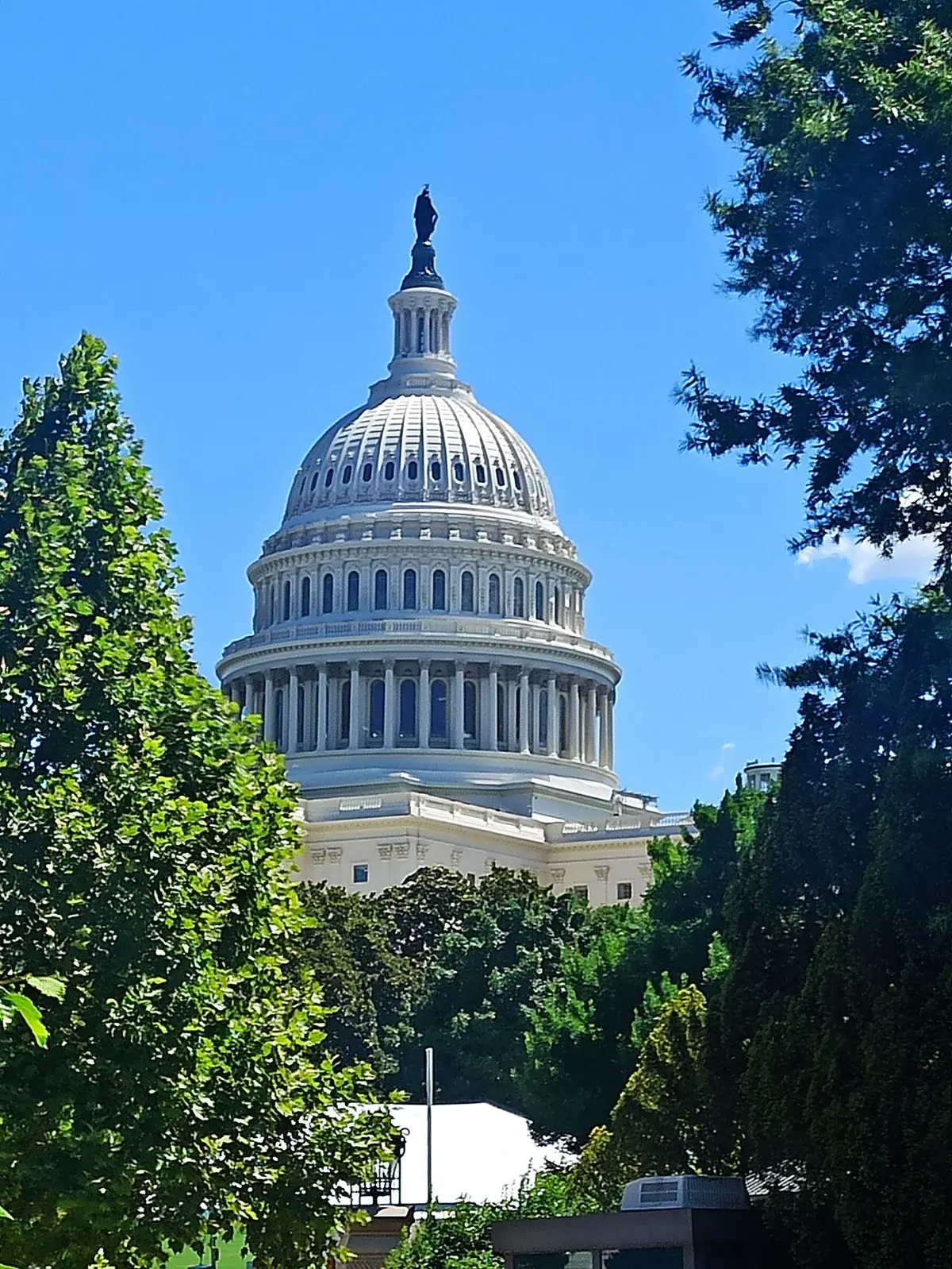 The dome of the United States Capitol building seen through trees.