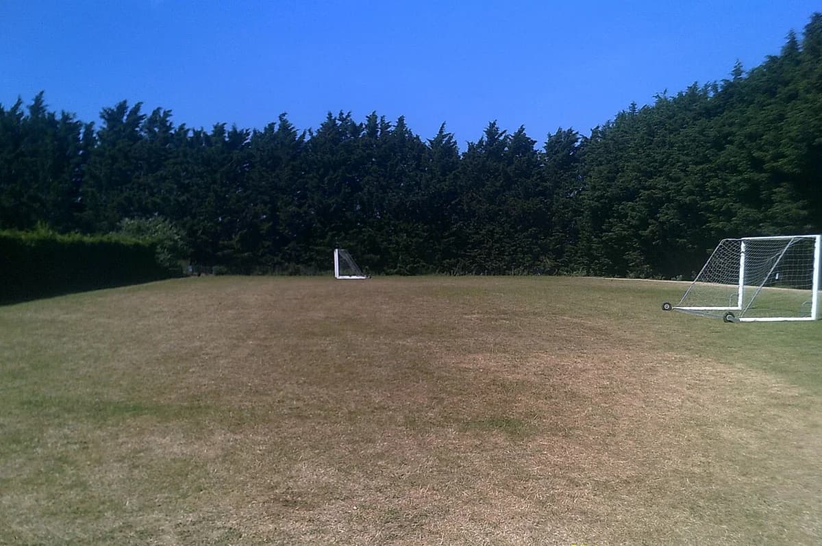 A small football pitch with two goals in a wooded park.