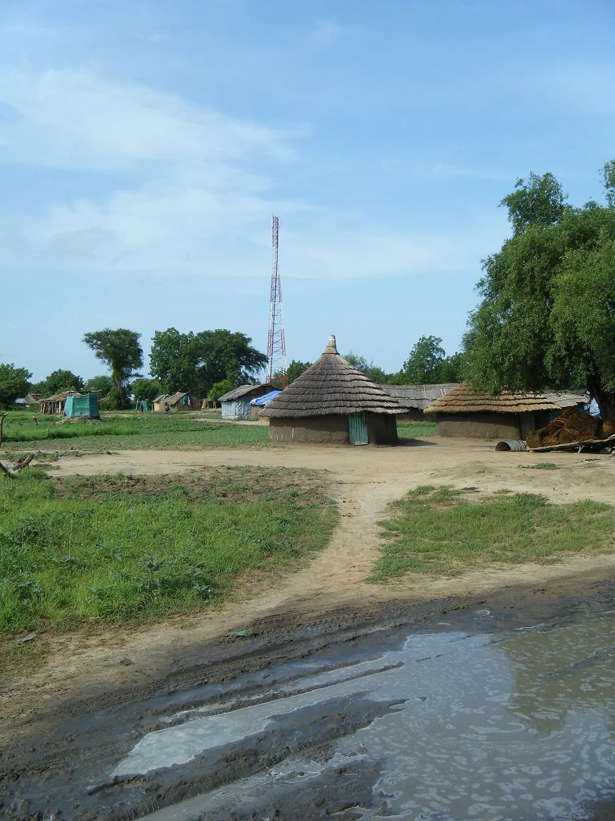 Rural huts in Bor, South Sudan, with a mobile tower in the background.