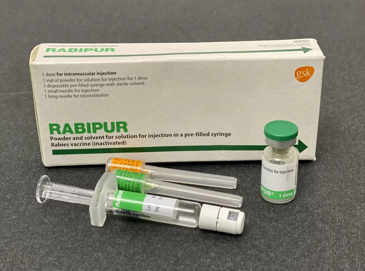 Rabipur rabies vaccine injection pack with syringe and vial