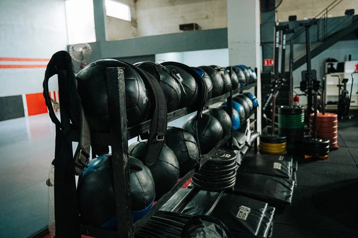 Racks with medicine balls and weight plates in gym