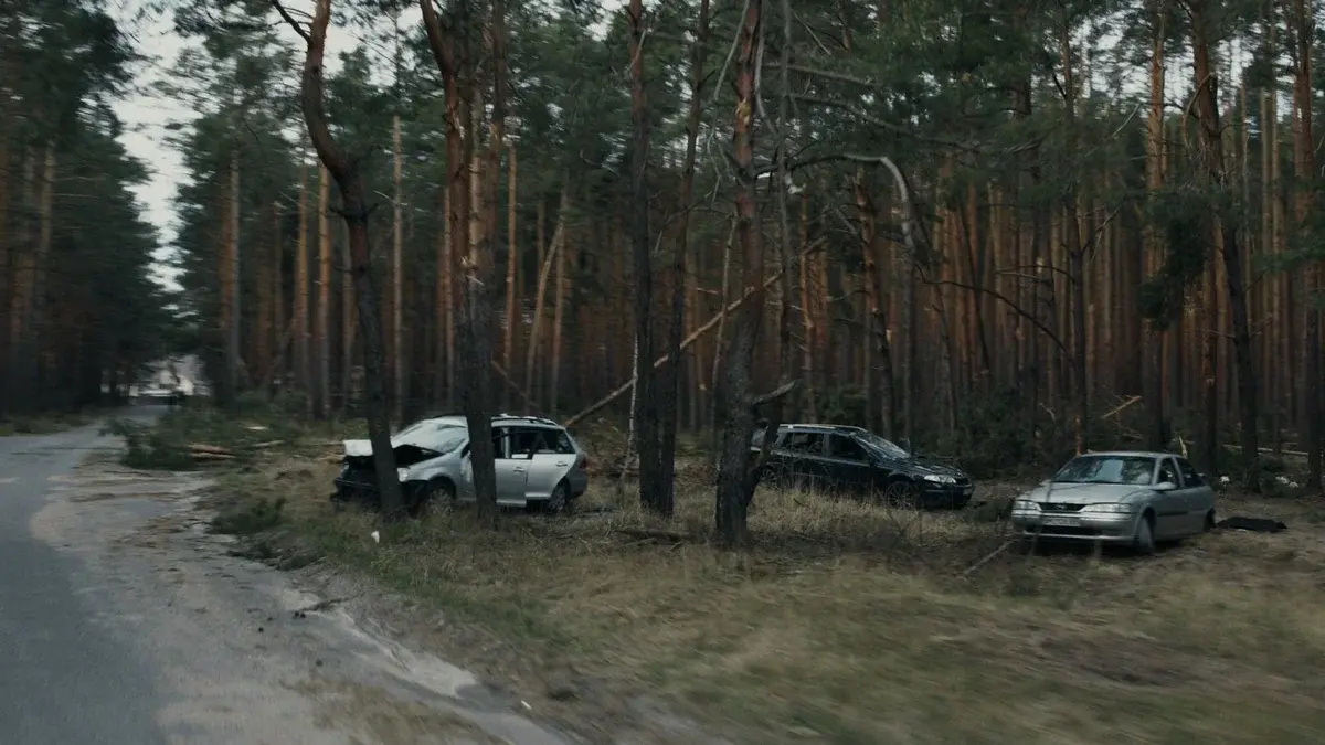 Damaged cars sit in a forest beside a road.