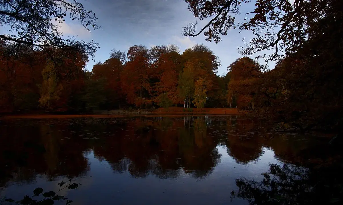 Autumn trees reflected in a calm lake with Hillerød in the distance.