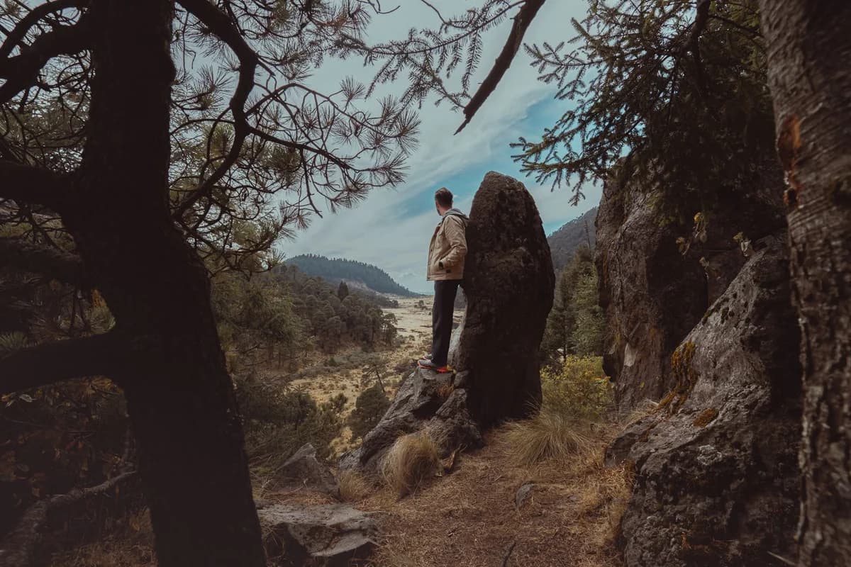 Man on rock in forested mountain valley