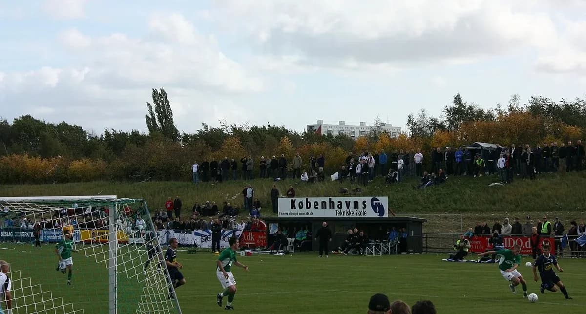 Football match with players on field and spectators on grassy slope