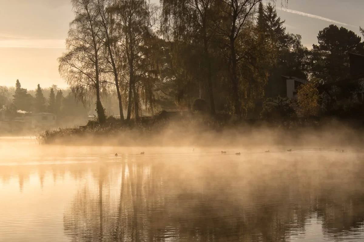 Morning mist over Birkerød Lake with trees and calm water