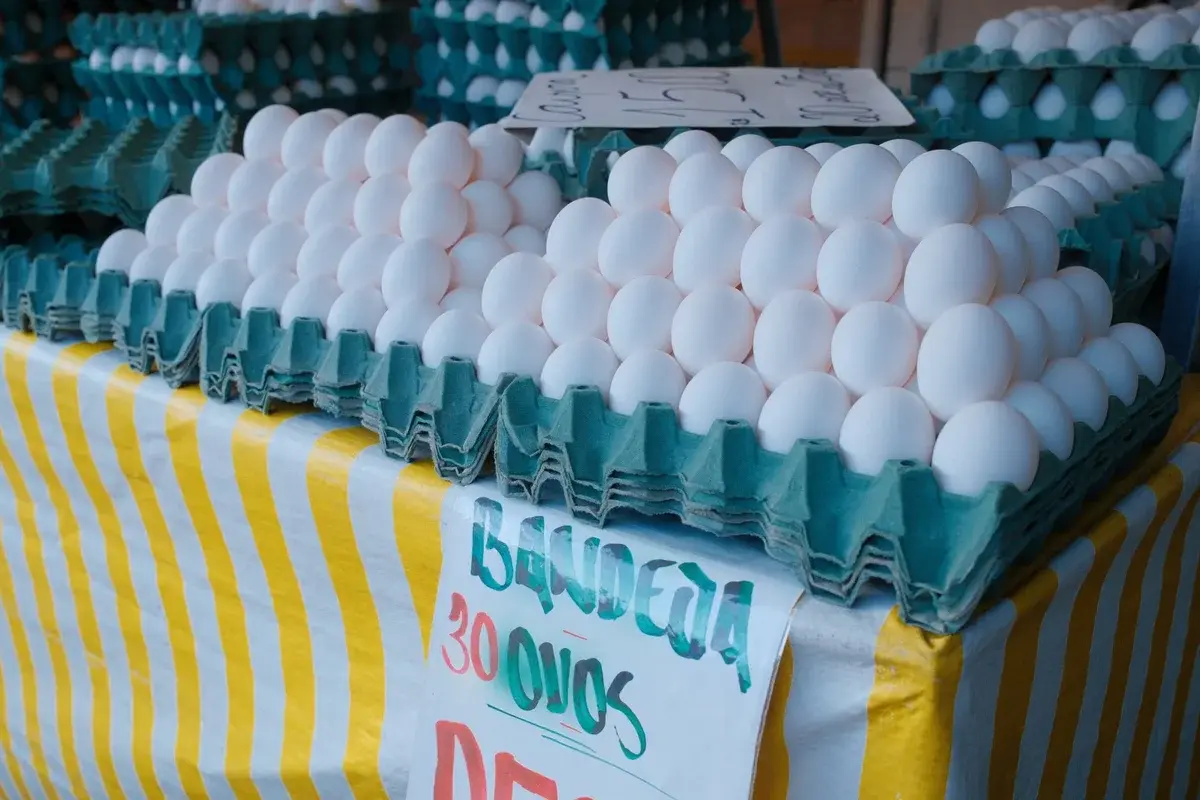 Stacks of white eggs in turquoise trays on a market stall.