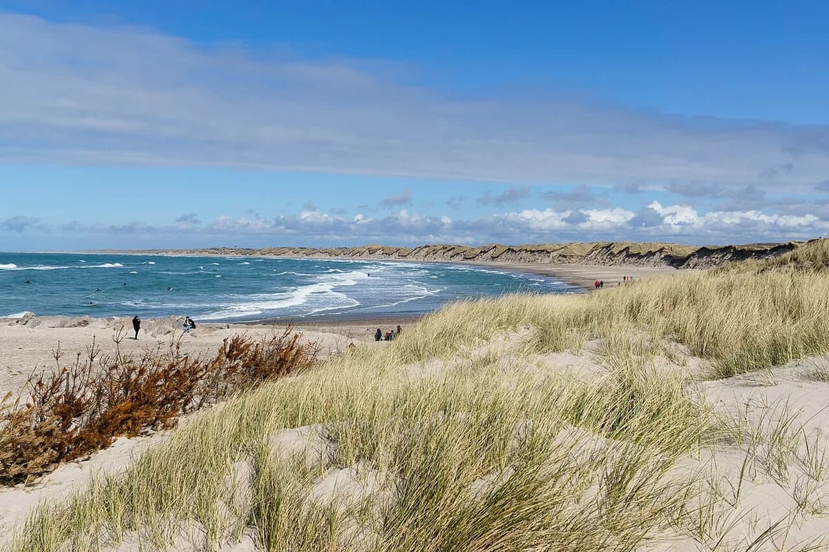 Sandy beach and dunes at Nørre Vorupør in Denmark.