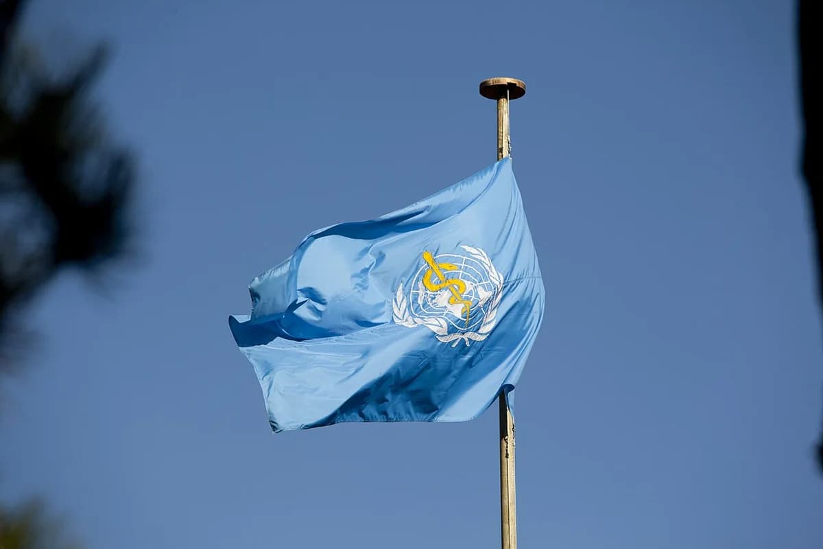 The World Health Organization flag waving on a pole.