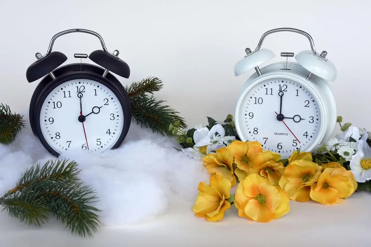 Two alarm clocks surrounded by snow, evergreen branches, and flowers.