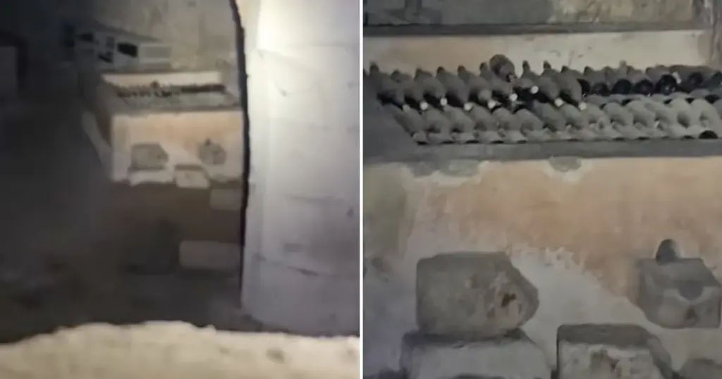 Hemmelig vinkælder i forladt slot får TikTok til at eksplodere