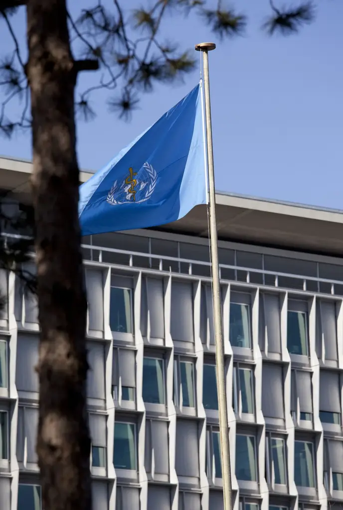 WHO-advarsel: Populært pålæg er kræftfremkaldende